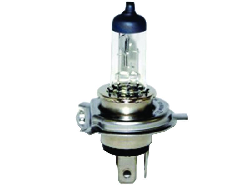 KC HiLiTES Halogen Light Bulbs
